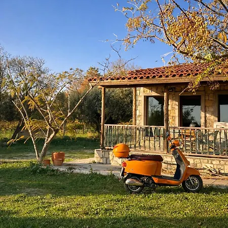 Διαμέρισμα House Among Olive Trees Near The Sea