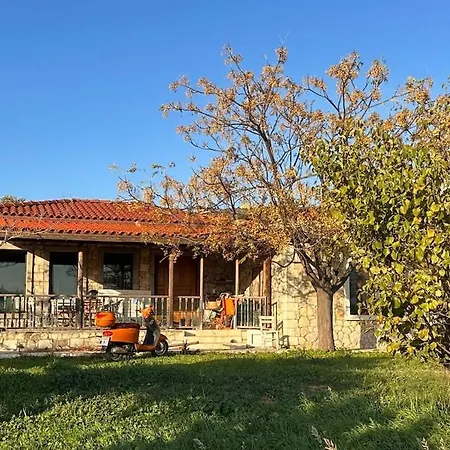 House Among Olive Trees Near The Sea * Çanakkale