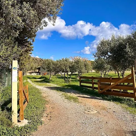 House Among Olive Trees Near The Sea Apartamento