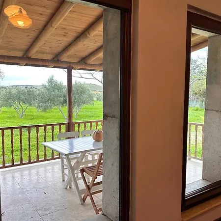 House Among Olive Trees Near The Sea Διαμέρισμα