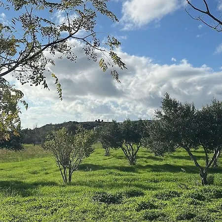 Apartamento House Among Olive Trees Near The Sea Çanakkale